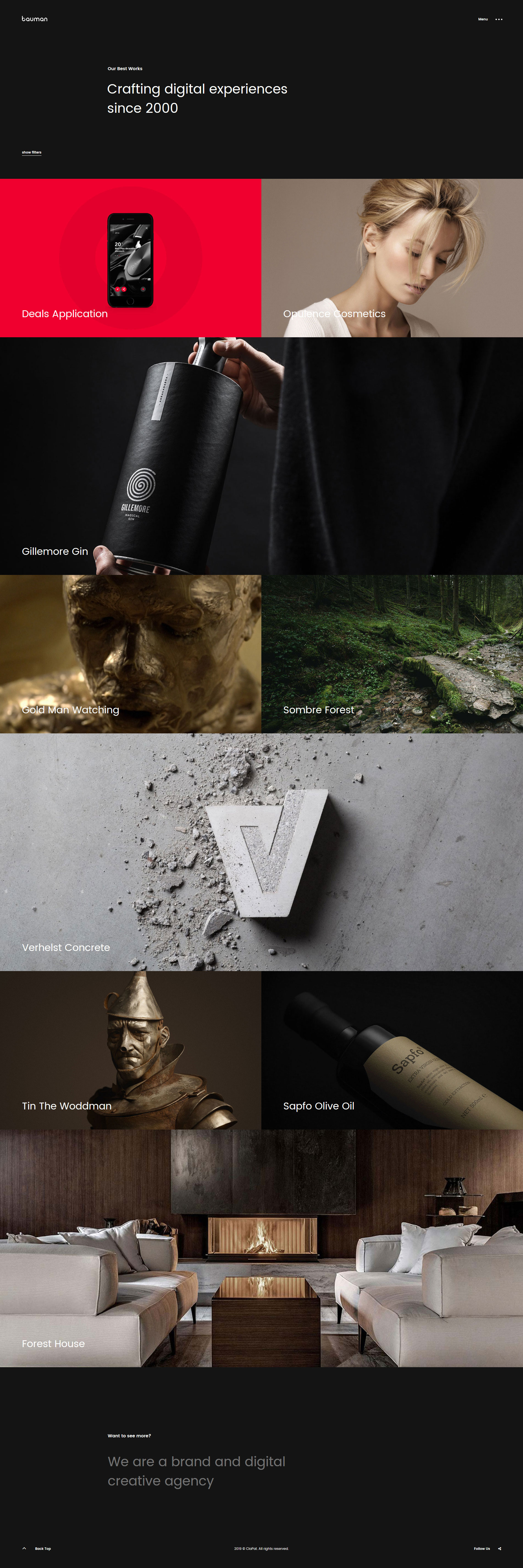 Bauman Wordpress Portfolio Theme